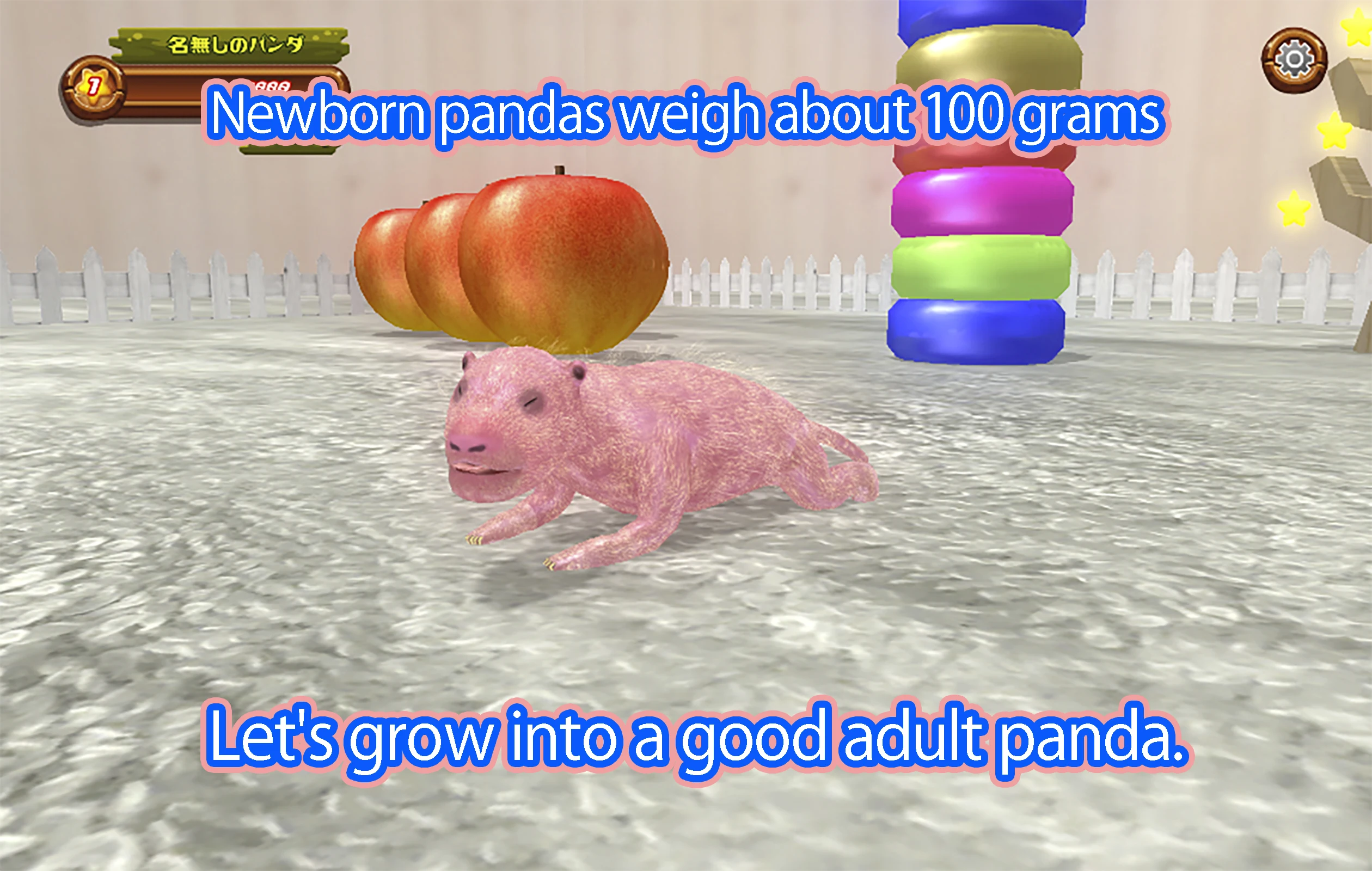 Newborn panda screenshot